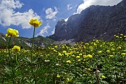 Al Rifugio Albani a scavalco della Valle Azzurra, salita in tutta la sua estensione il 23 giugno 2015 - FOTOGALLERY
